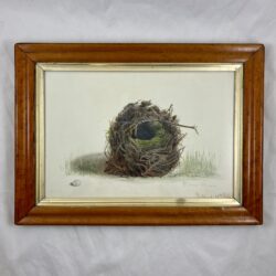 English Regency Period Framed Watercolor, Willow Wren Nest